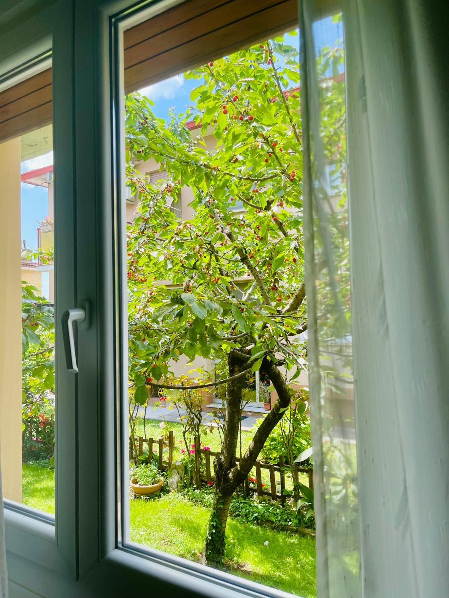 Le Rose Apartment ตรีเอสเต ภายนอก รูปภาพ